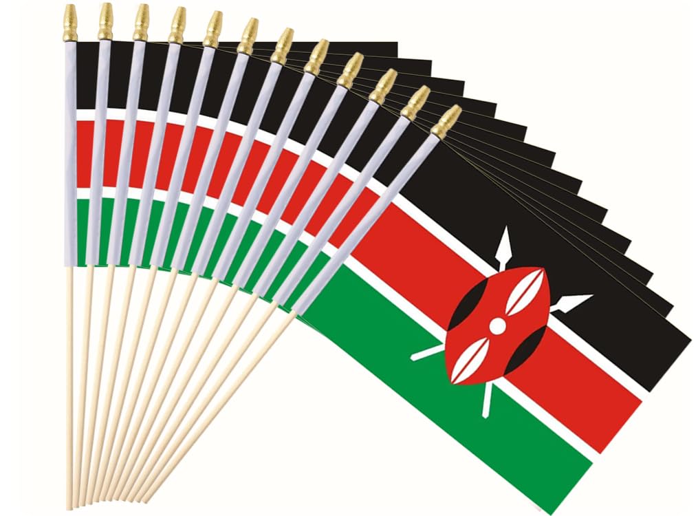 Hand held flags Nairobi