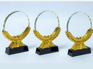 Corporate Crystal Awards